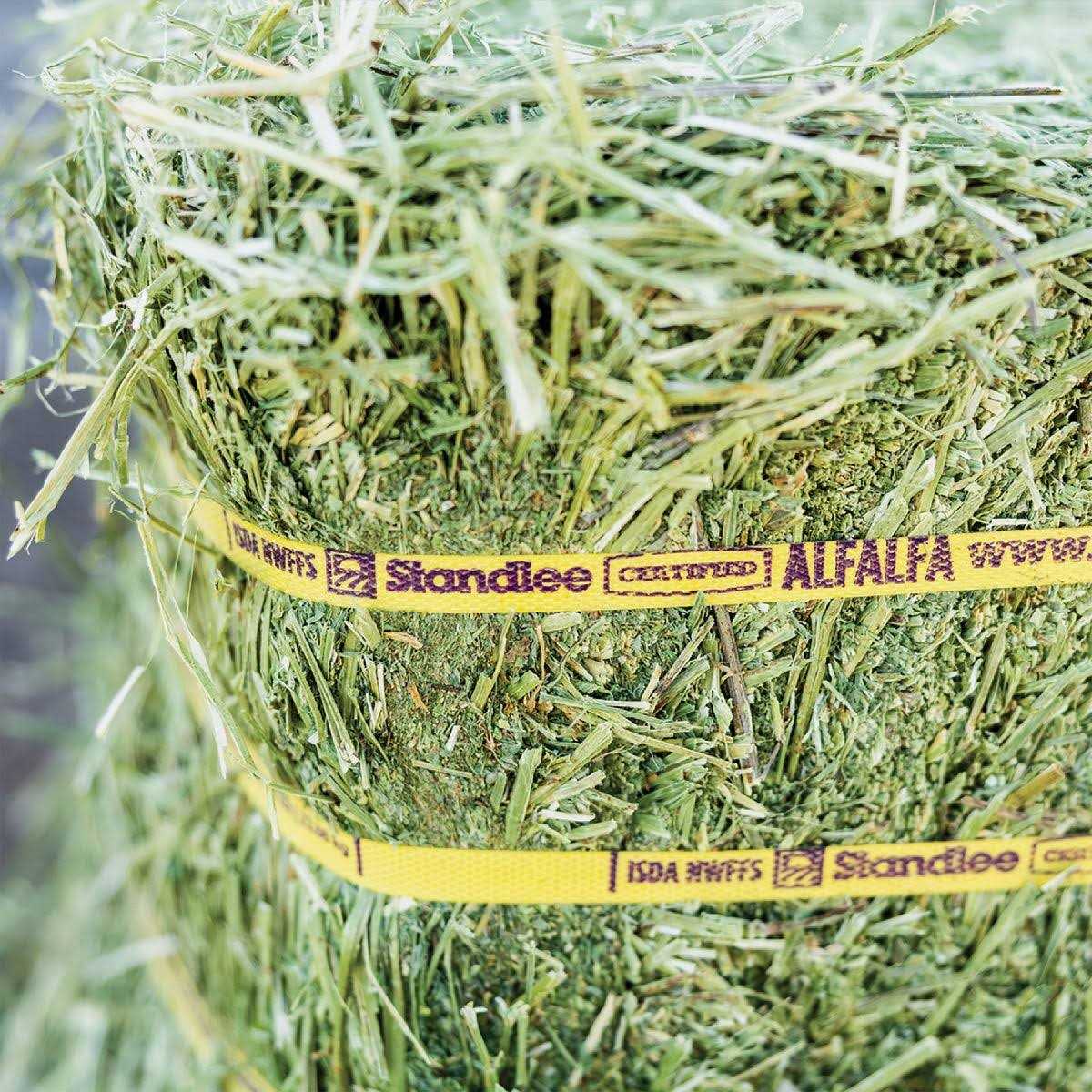 Standlee Premium Alfalfa Grab & Go Compressed Bale - Image 2