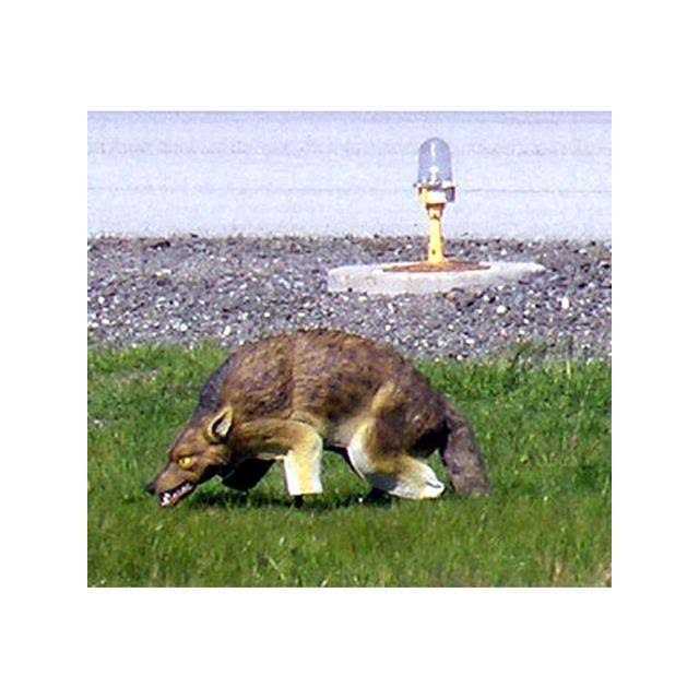 Bird-X COYOTE COYOTE Decoy - Image 3