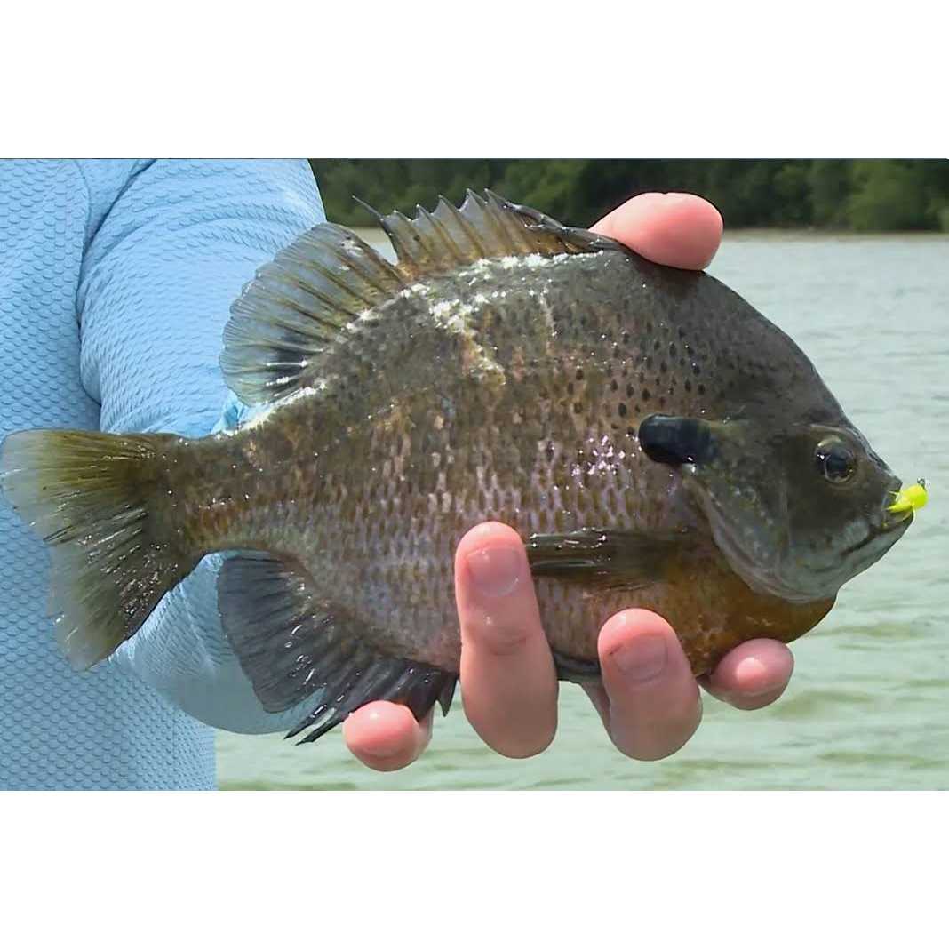 Sufix NanoBraid Low-Vis - Image 4