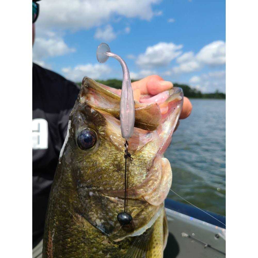 Storm Largo Shad - Image 3