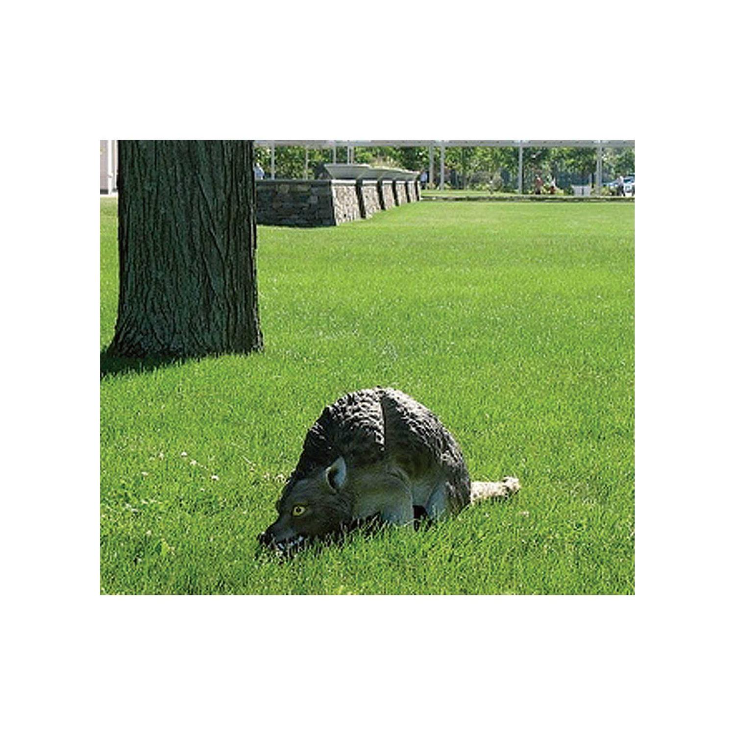 Bird-X 3D Coyote COYOTE-3D - Image 3