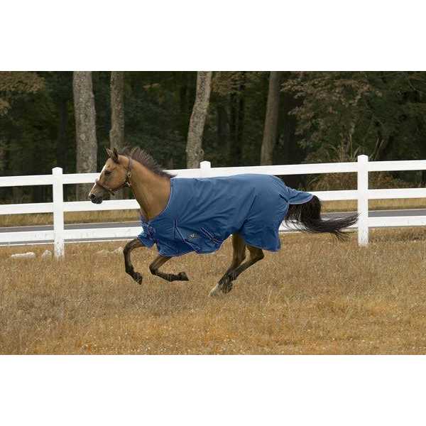 TuffRider 600d Comfy Winter Blanket - Image 2