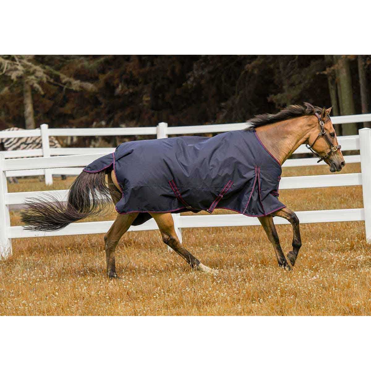 TuffRider 600d Comfy Winter Blanket - Image 3