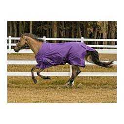 TuffRider 600d Comfy Winter Blanket - Image 5