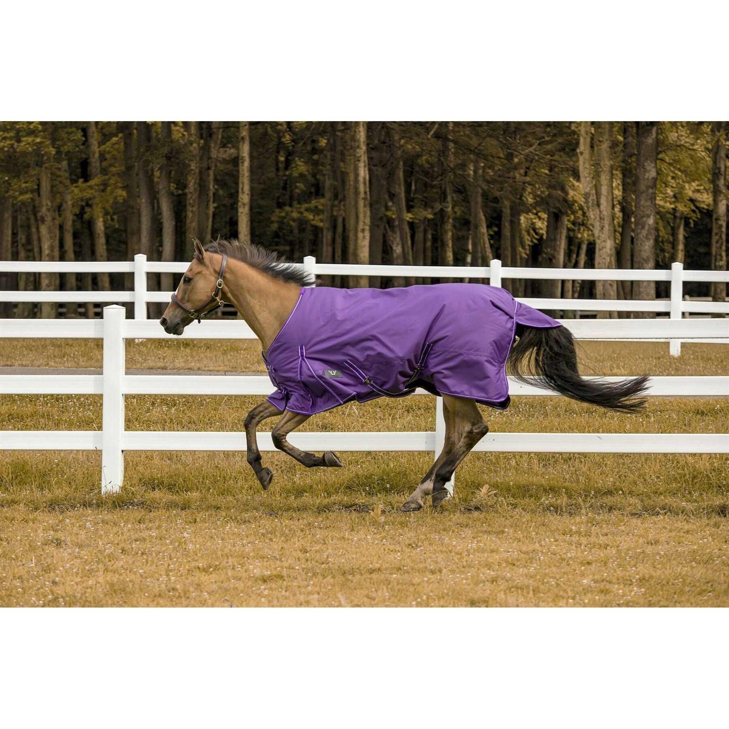 TuffRider 600d Comfy Winter Blanket