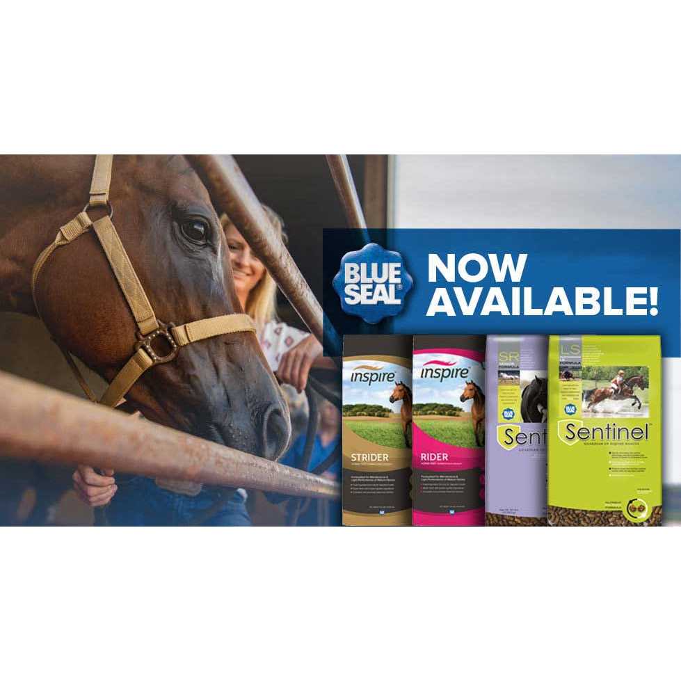 Blue Seal Inspire Hay Stretcher Large Pellet Horse Feed - Image 4