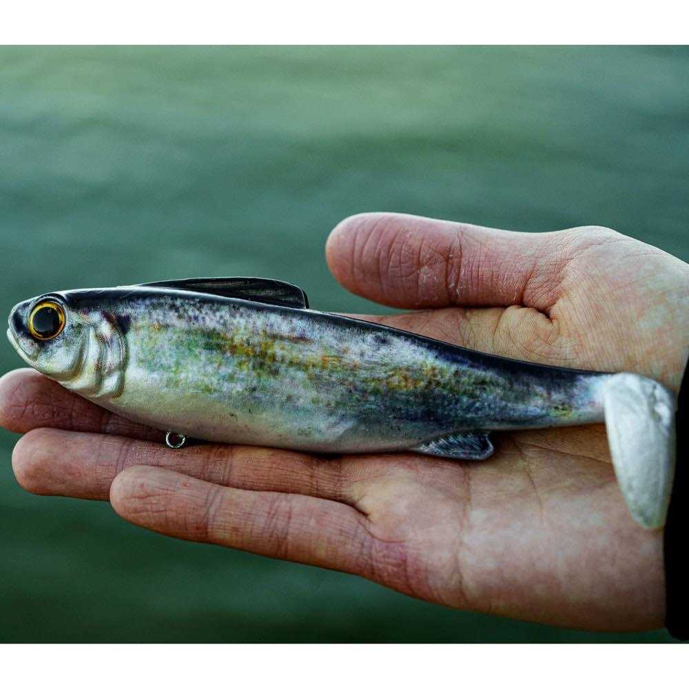 6th Sense Hangover Sink - Image 5