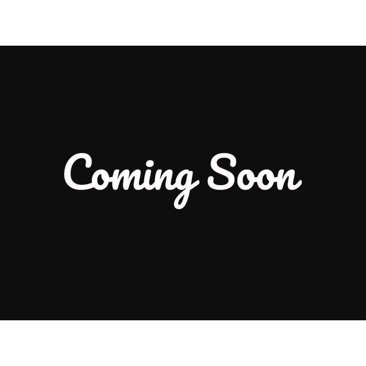 Big Agnes Anthracite Sleeping Bag - Image 3