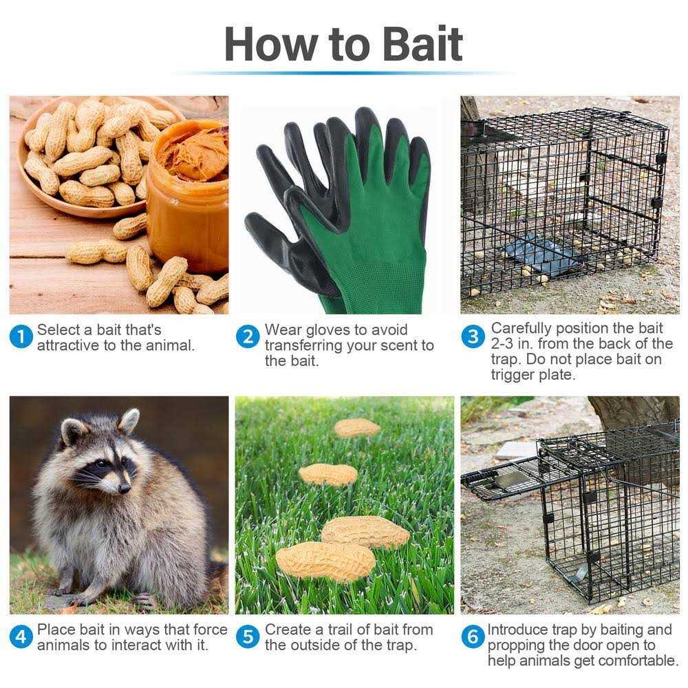 Humaneway Humane Way Folding Live Humane Animal Trap - Image 2