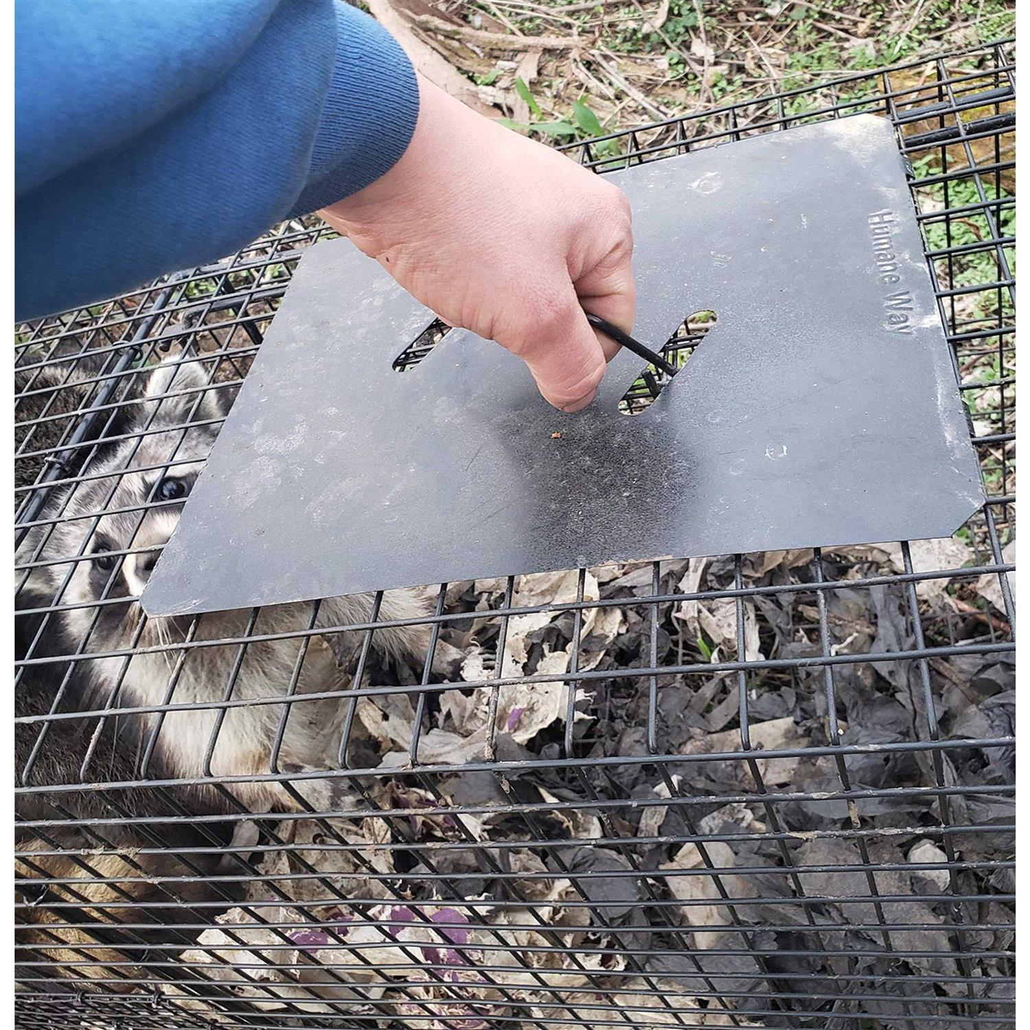 Humaneway Humane Way Folding Live Humane Animal Trap - Image 4