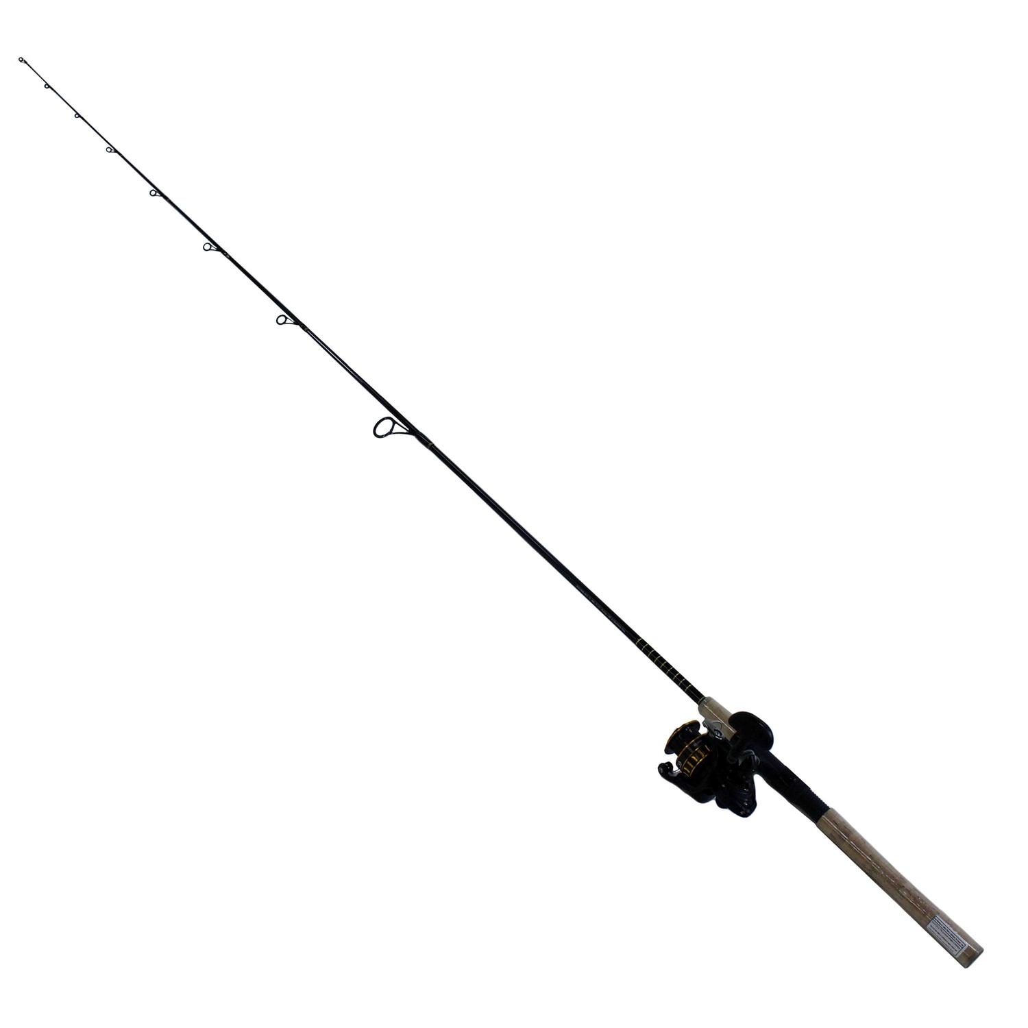 BG Spinning Combo Daiwa - Image 4