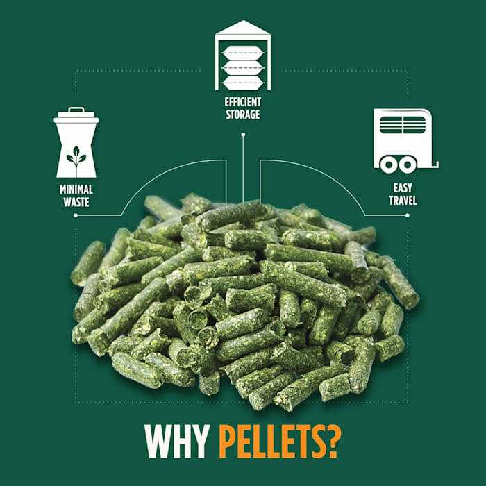 Standlee Premium Alfalfa Timothy Pellets - Image 4