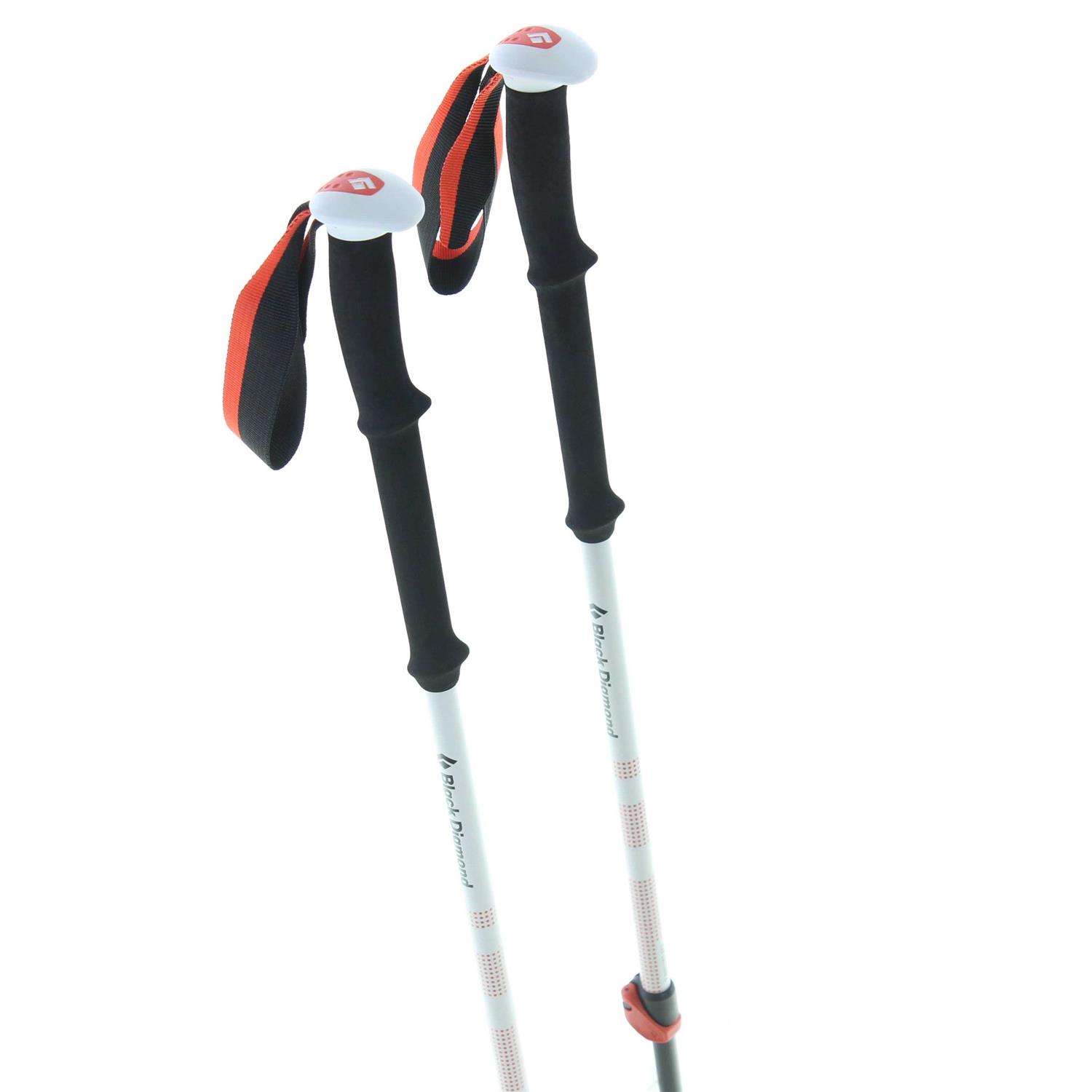 Black Diamond Expedition 2 Ski Poles - Image 5