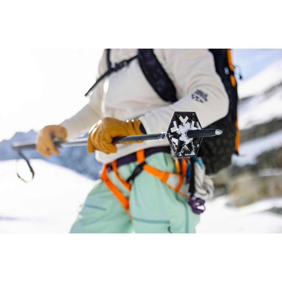 Black Crows Duos Freebird Ski Poles - Image 5