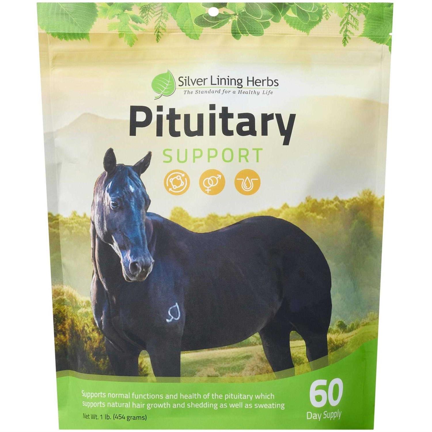 Silver Lining Herbs 28 Pituitary Support