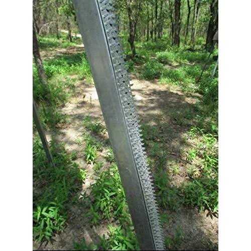 Boss Buck Shark Teeth 3 Strip Pkg W - Image 4