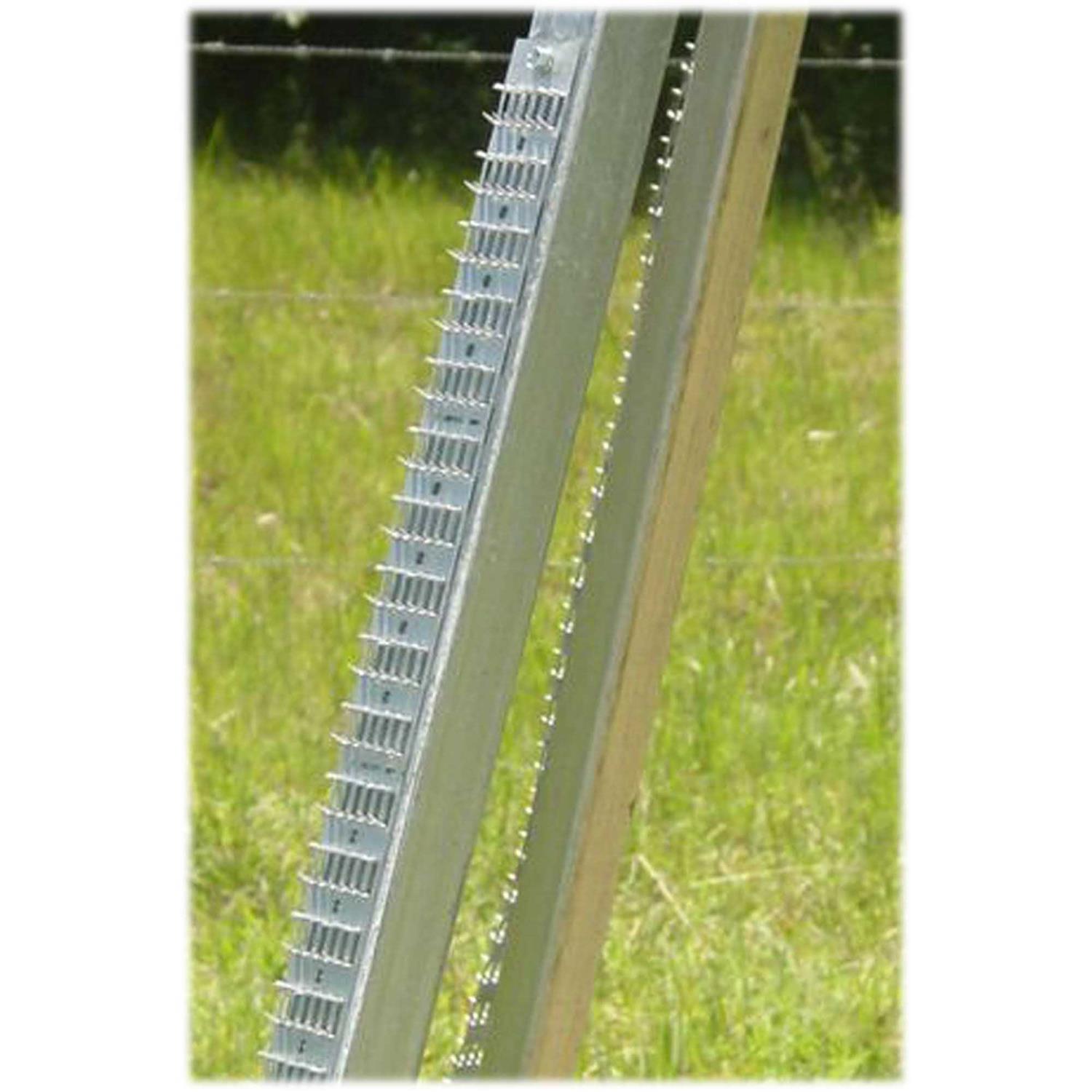 Boss Buck Shark Teeth 3 Strip Pkg W - Image 5