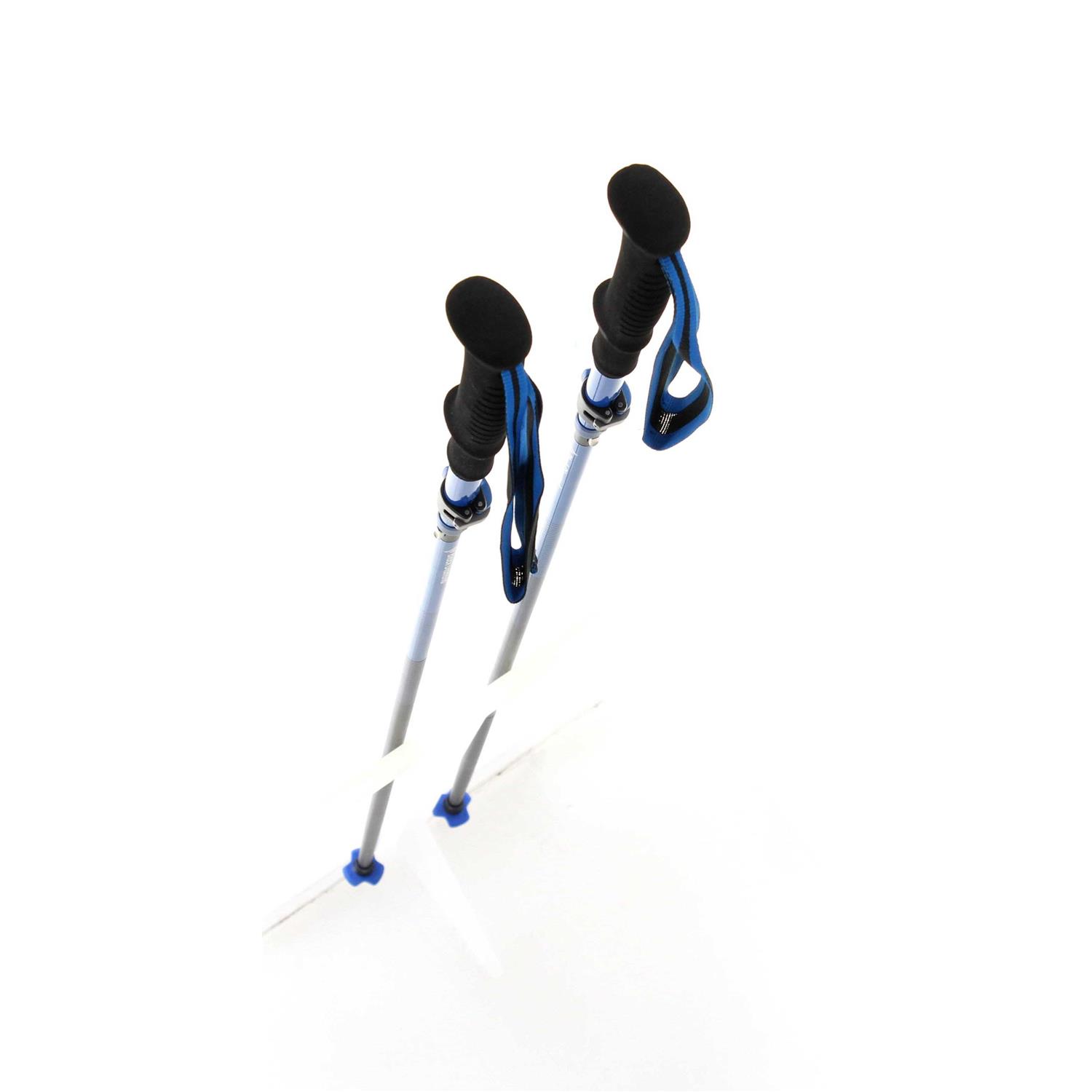 Black Diamond Distance Carbon FLZ Poles - Image 3