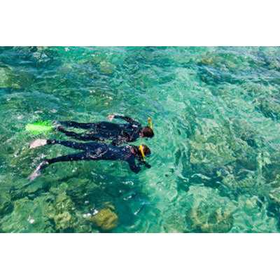 U.S. Divers Redondo DX Mask - Image 4