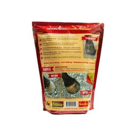 Biotin Hoof Blast 5lbs - Image 5