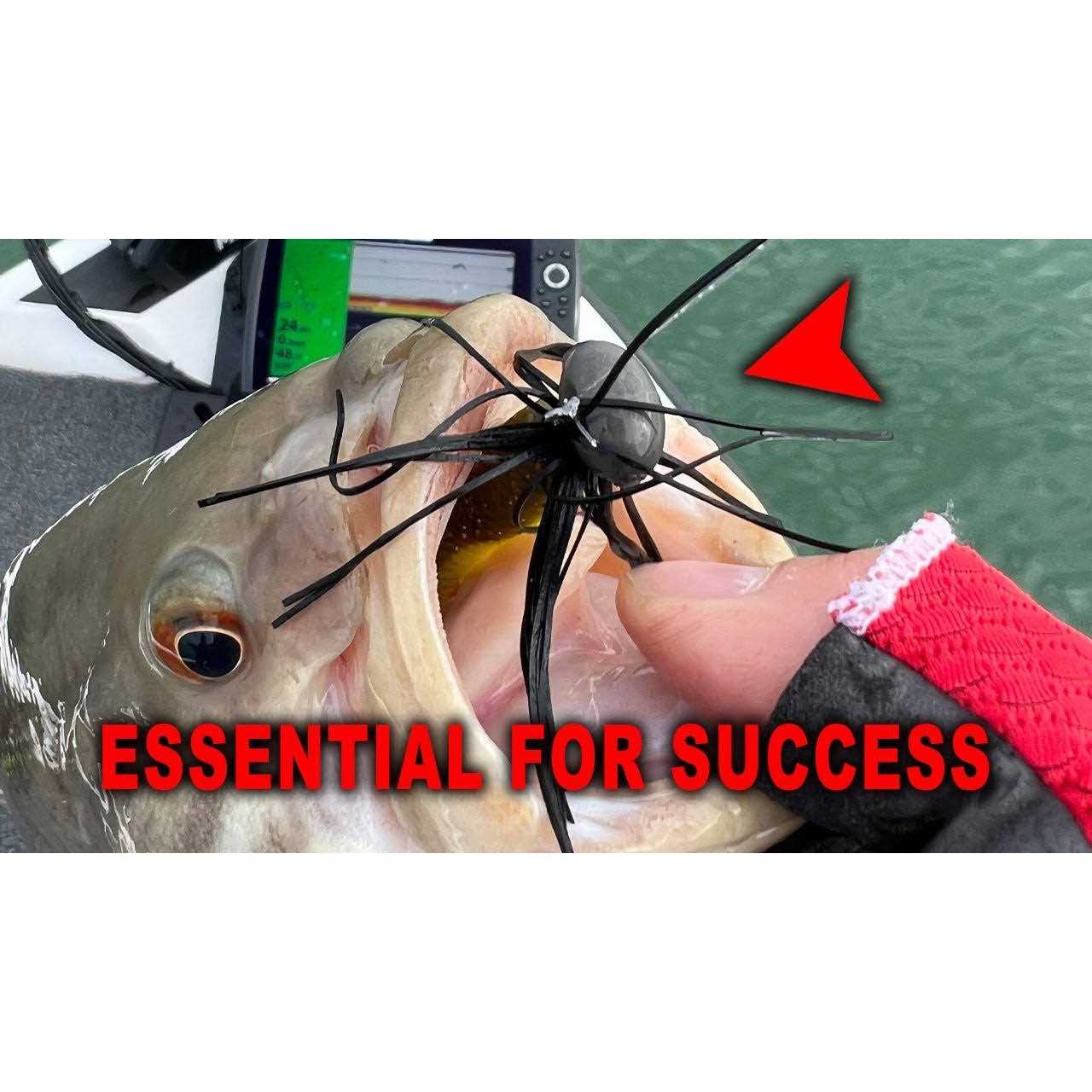 Strike King Rage Scounbug - Image 3