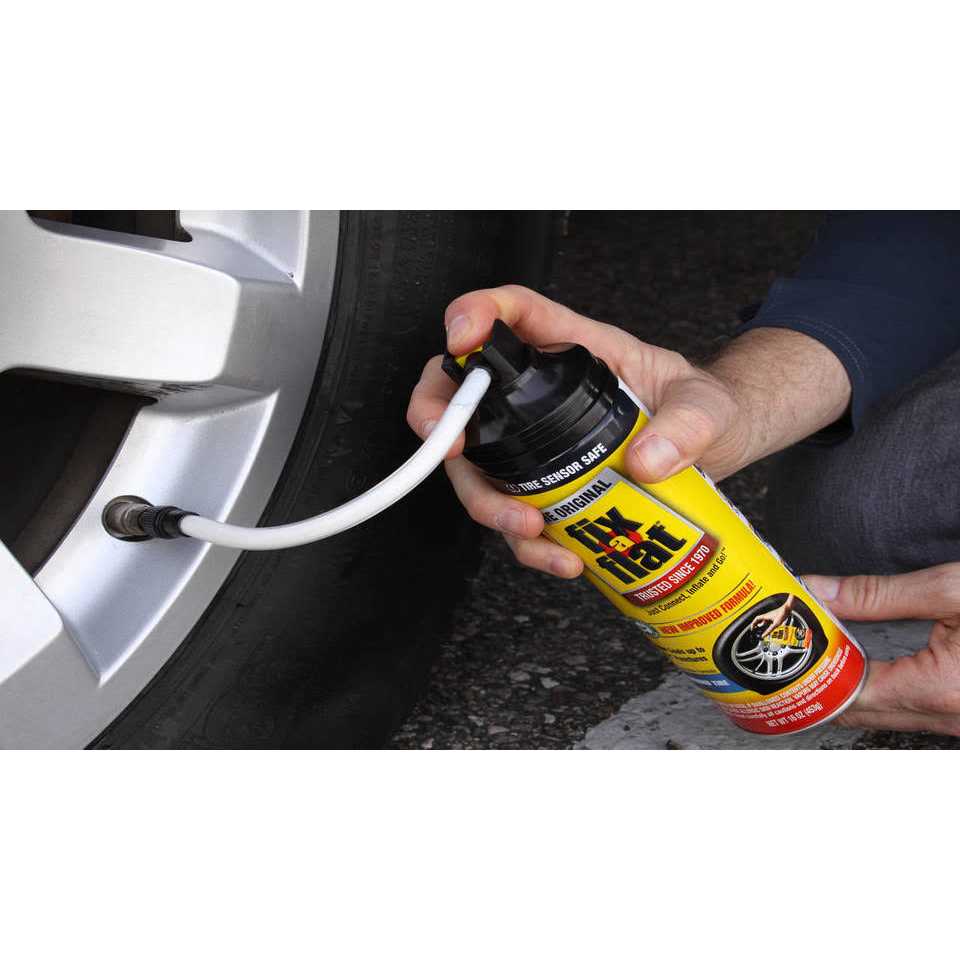 Fix-A-Flat S60369 Tire Inflator - Image 3