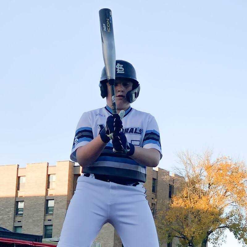 Rawlings Icon USA Baseball Bat - Image 4