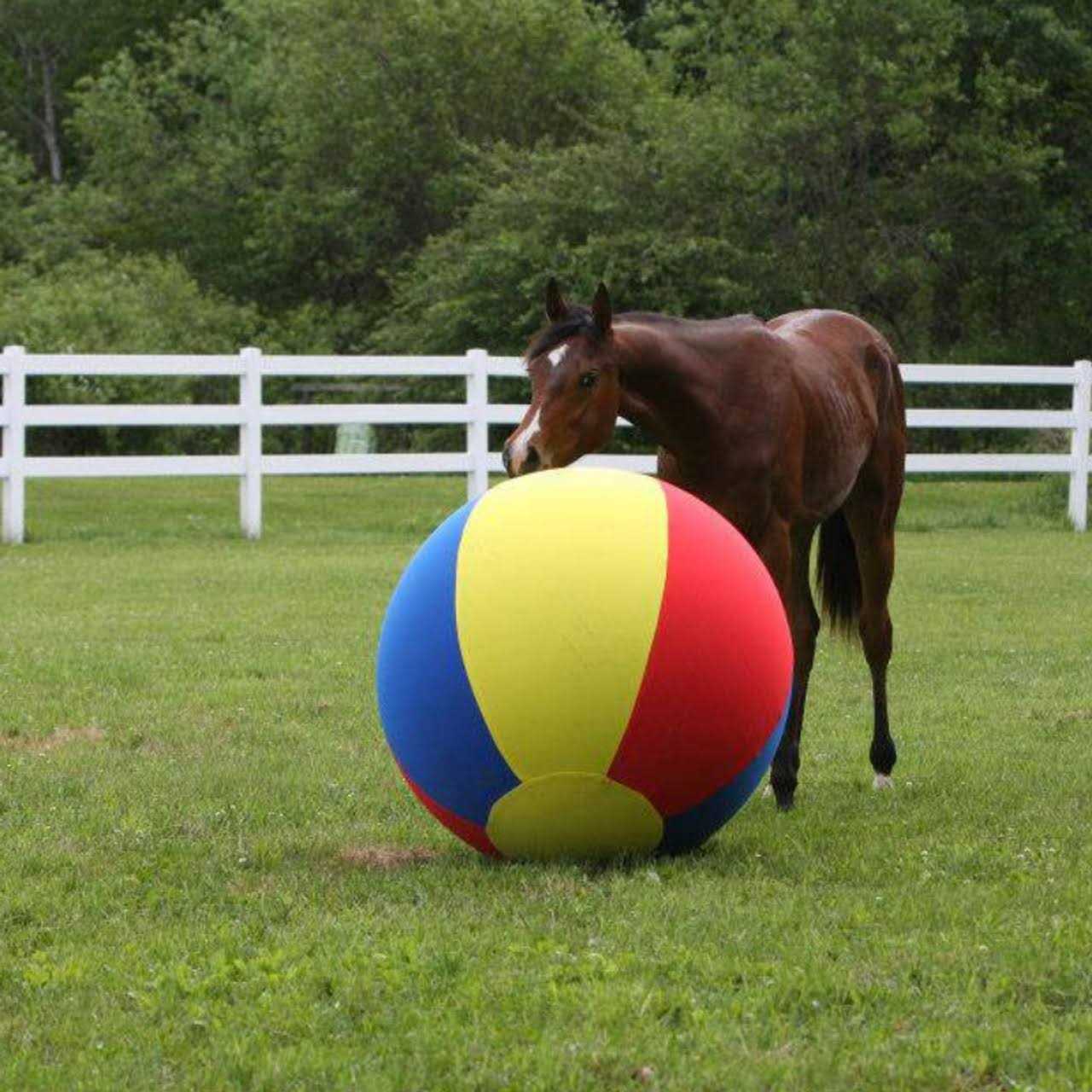 Horsemen's Pride Jolly Mega Ball Cover - Image 5