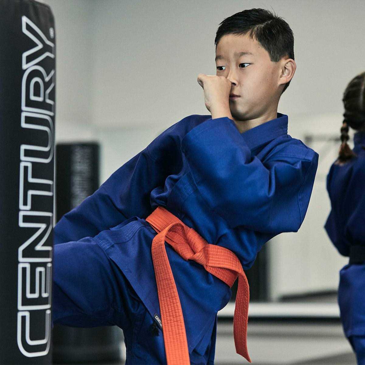 KarateSupply Martial Arts Belts Karate Taekwondo - Image 4