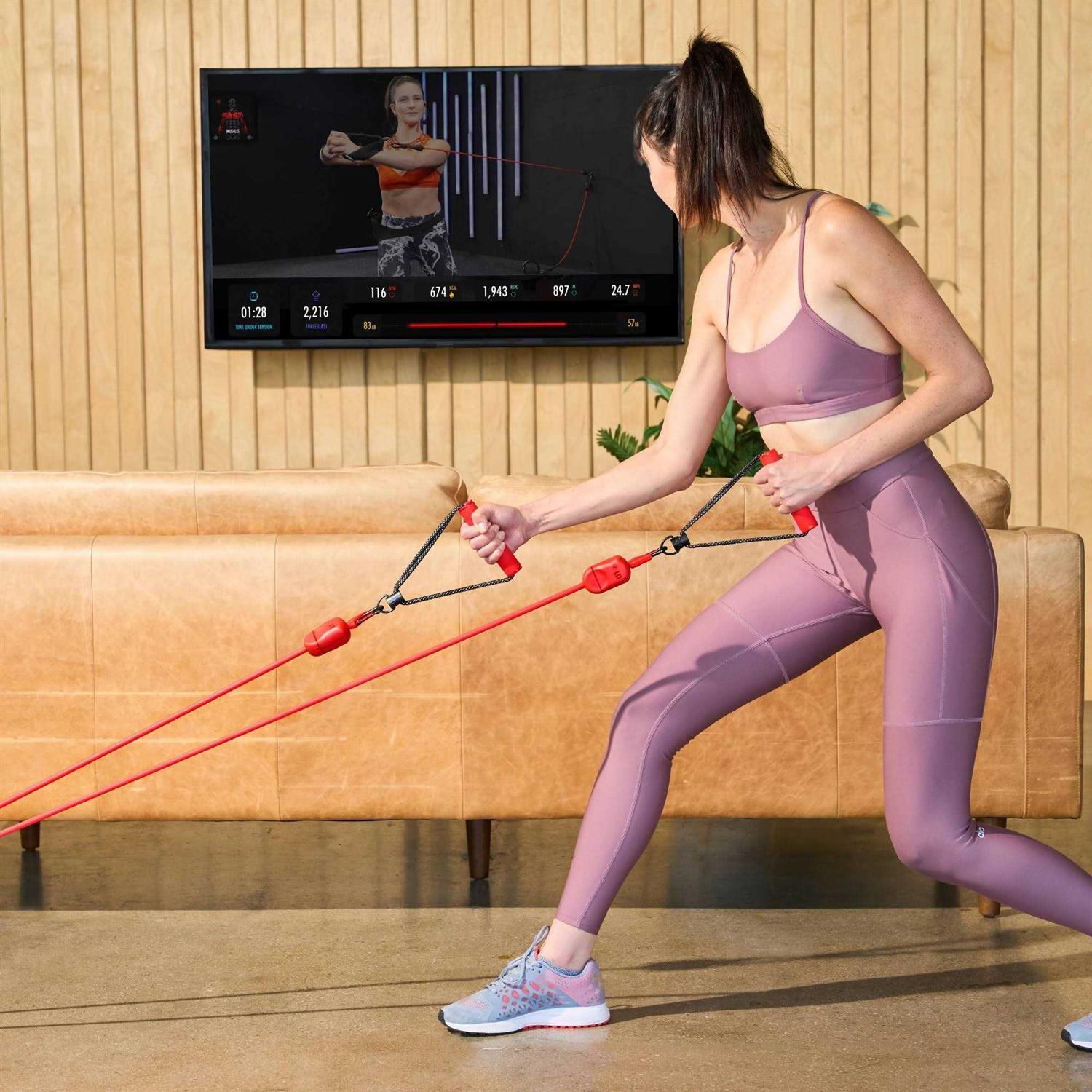 LIT Method Axis Home Gym Resistance BandTraining System - Image 5