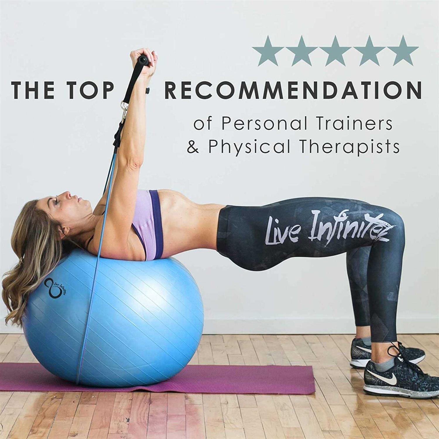 Live Infinitely Exercise Ball Extra Thick Workout Pregnancy Ball Chair - Image 5