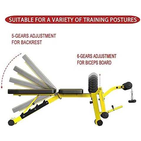 EASY BIG Utility Weight Bench with Leg Extension Multi-Position Adjustable Bench for Strength Training, Dumbbell Exercise and Ab Workou - Image 5