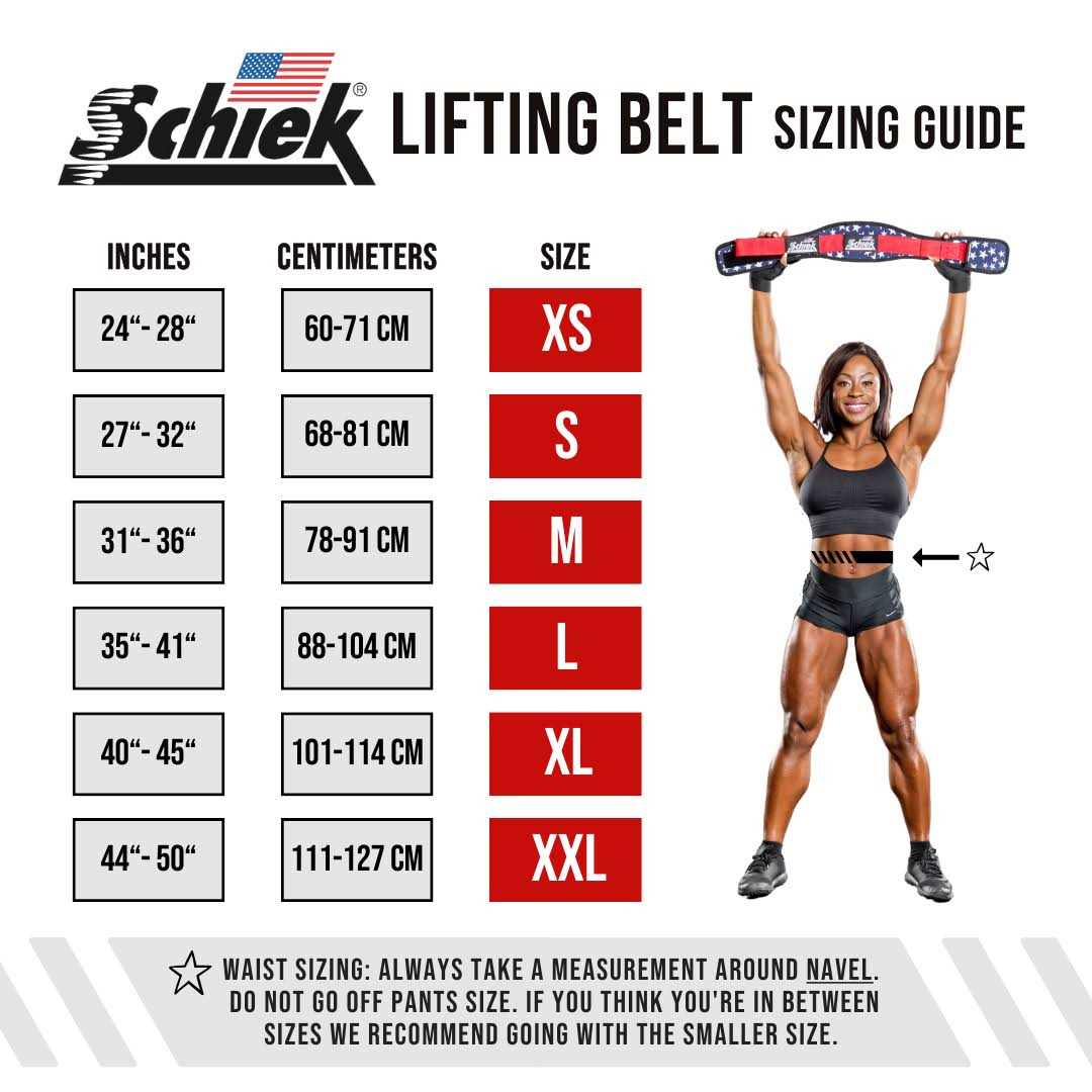 Schiek Lifting Belt - Image 3